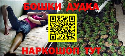 амф Будённовск
