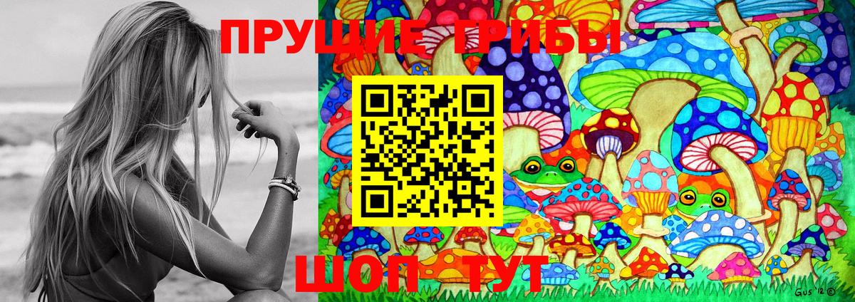 Тюмень  Псилоцибиновые грибы мухоморы  Вход с VPN 